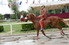 Immagine <b>REG_9157</b>